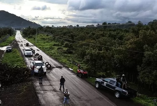 Productores de aguacate mexicanos crean un grupo armado contra los narcotraficantes