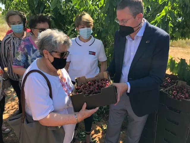 Agricultura dona a Cáritas cerezas de la finca experimental Las Nogueras de Caravaca de la Cruz