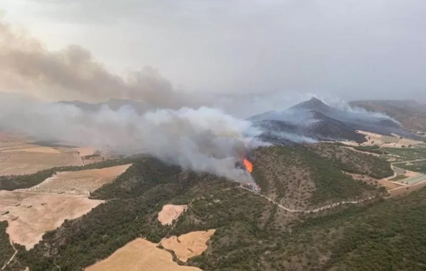 Arden 300 hectáreas en el incendio declarado en el paraje de La Patoja, en Jumilla