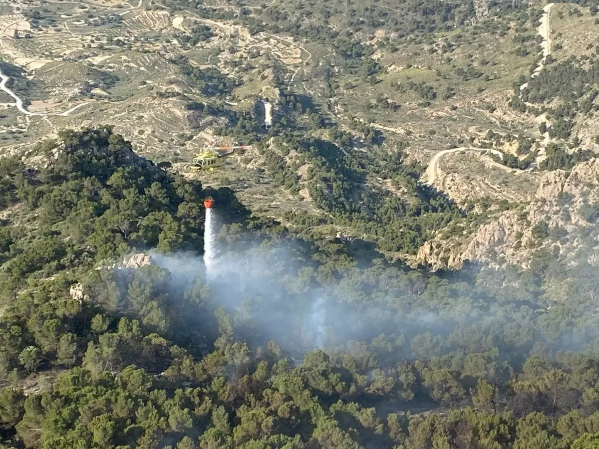Dan por estabilizado el incendio forestal declarado en la Sierra de la Pila, en Fortuna