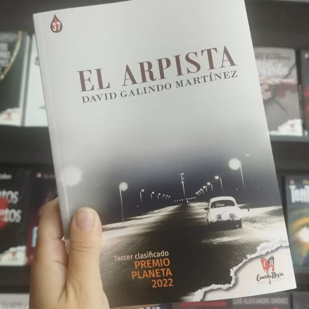 El escritor cartagenero David Galindo publica la novela 'El Arpista', tercera clasificada en el Premio Planeta 2022