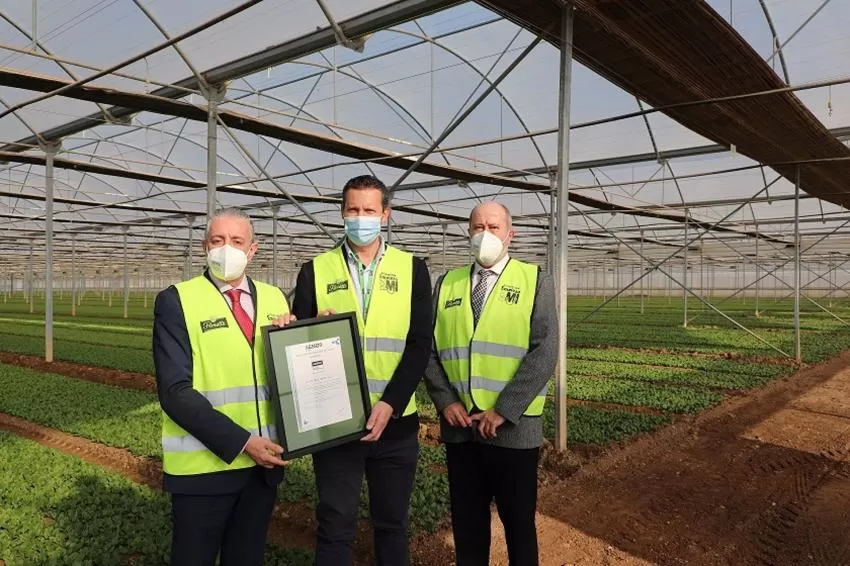 Florette, primera empresa de IV gama en lograr el certificado de producción de cultivo sostenible de Aenor