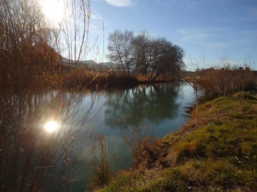 Font Vella y ANSE colaboran en un proyecto para preservar la biodiversidad mejorando la calidad del río Segura