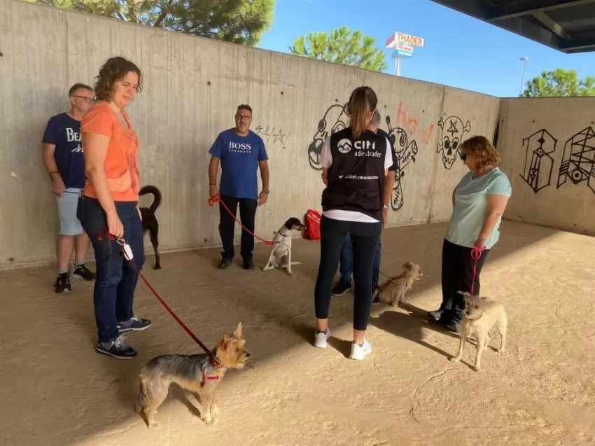 Gran éxito en Murcia del segundo taller gratuito de adiestramiento de perros