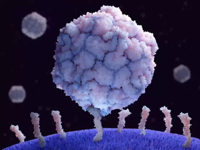 Identifican 100.000 nuevos tipos de virus previamente desconocidos para la ciencia