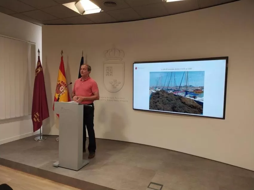 La Comunidad retira 12.924 toneladas de biomasa del Mar Menor en lo que va de año