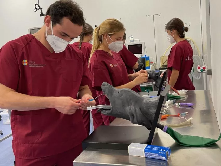 La facultad de Veterinaria de Valencia ha creado el primer centro de simulación clínica