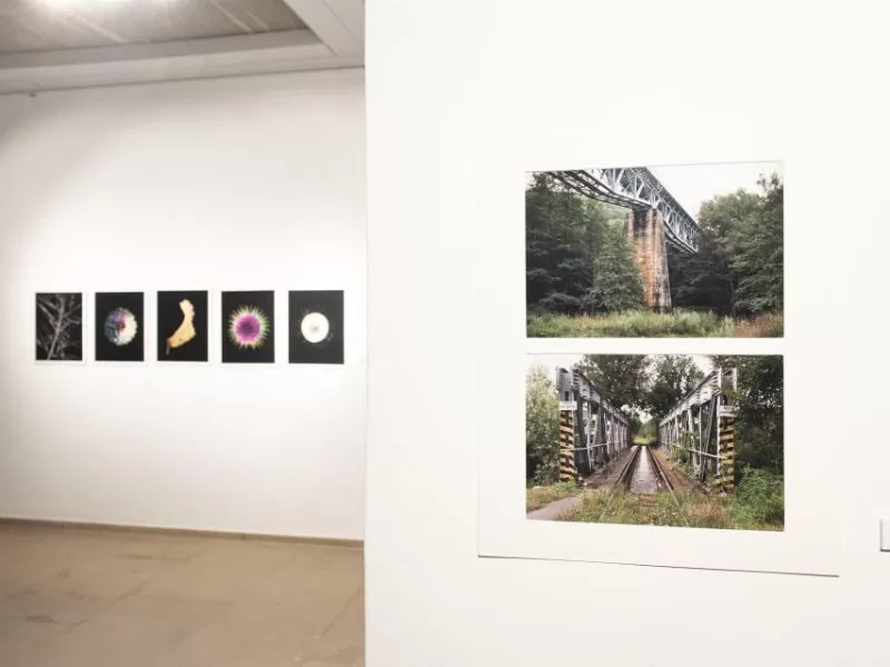 Los Molinos del Río acogen la exposición de obras premiadas y seleccionadas del XXI Premio de Fotografía de la UMU
