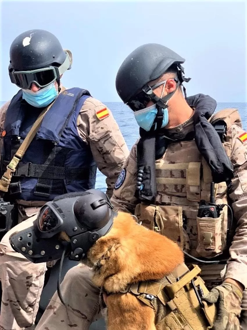 La Fuerza de Protección de la Armada realiza ejercicios caninos en Cartagena
