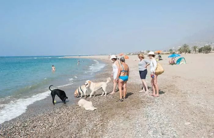 Playas para perros en la Región de Murcia