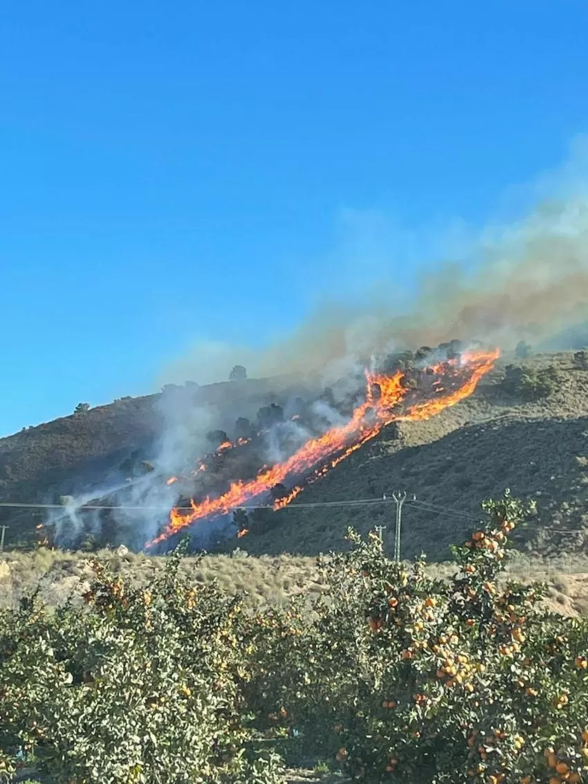 Sucesos.- Más de 100 efectivos y 2 helicópteros tratan de extinguir el incendio declarado en la Sierra de Carrascoy