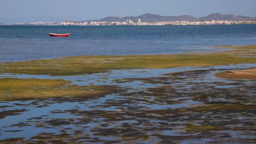Un equipo del CEBAS-CSIC diseña una hoja de ruta con 14 soluciones para el desarrollo sostenible del Mar Menor
