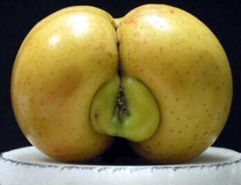 manzana-que-tan-pervertida-es-tu-mente