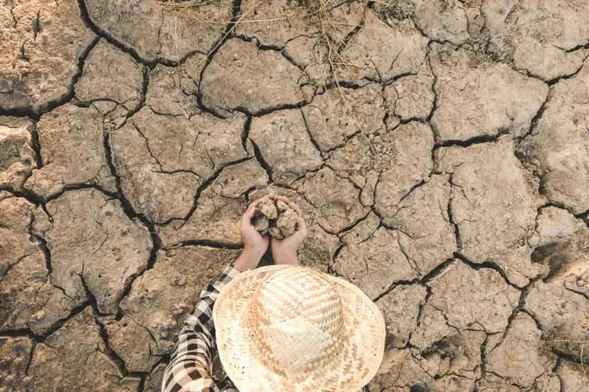 COAG alerta de que la mitad del campo español está ya en alerta por