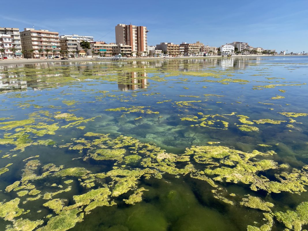 El Mar Menor: ¿está "optimo" para bañarse? - MurciaNoticias